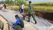 Hilir Mudik Angkong Pembawa Material Program TMMD